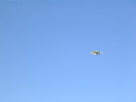 DSCN3538.JPG